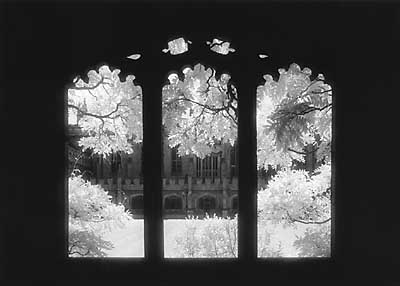 bw-throughwindow.jpg