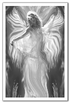 fantasy-angel1.jpg