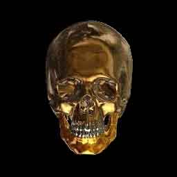 goldskull.jpg