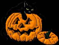 pumpkincat.jpg