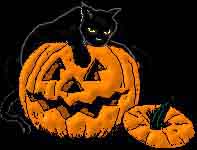 pumpkincat1.jpg
