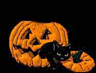 pumpkincat2.jpg