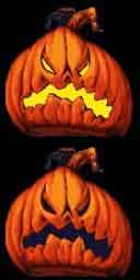 seagrapepumpkin1.jpg