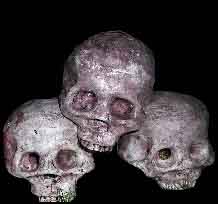 skulls.jpg