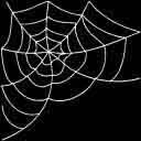 spiderweb-a.jpg