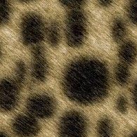 tilefurcheetah.jpg