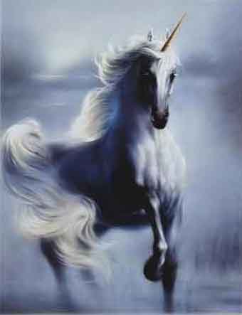 unicorn2.jpg