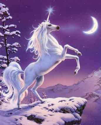 unicorn3.jpg