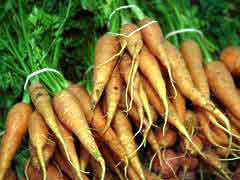 veg-carrots1.jpg