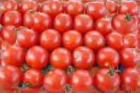 veg-tomatoes3.jpg