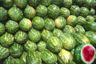 veg-watermelons1.jpg