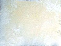 whitefur1.jpg