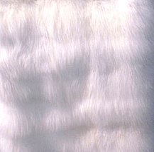 whitefur5.jpg